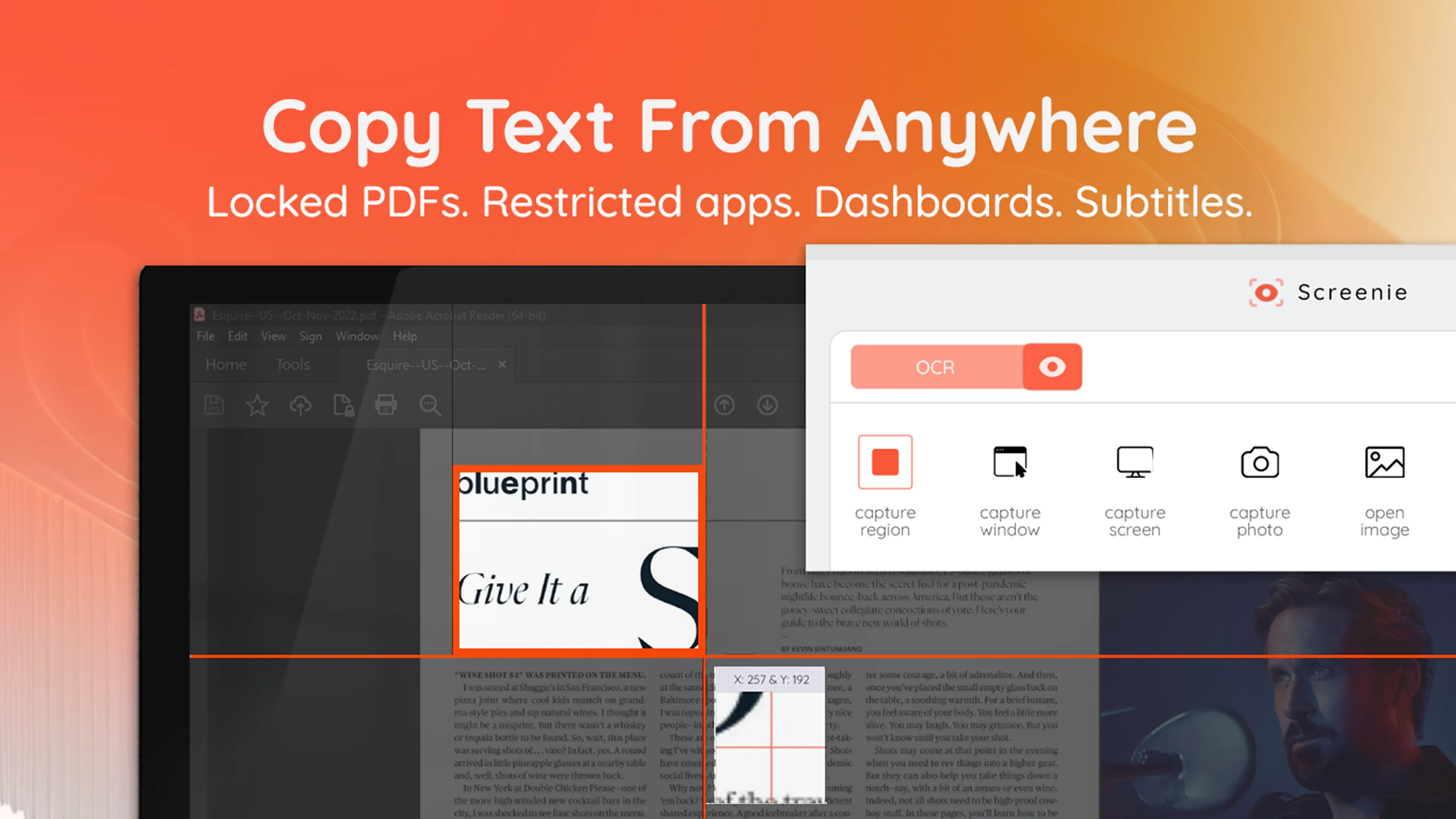 Text aus beliebigen Bereichen kopieren